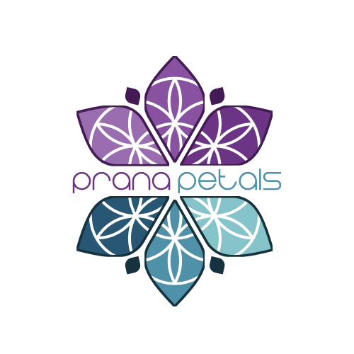 Lotus Cones – Organic Lotus Flower Cones for Relaxation & Breathwork